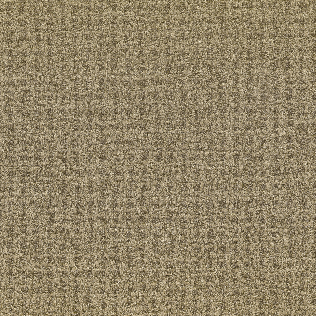 TAPPETO 01